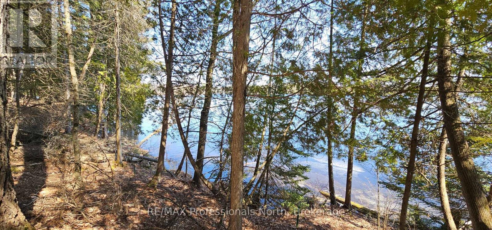 416 Swallowdale Road, Huntsville, Ontario  P1H 0A5 - Photo 10 - X12093325