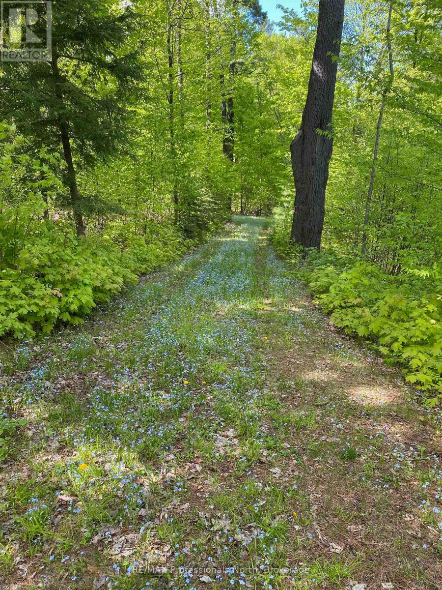 416 Swallowdale Road, Huntsville, Ontario  P1H 0A5 - Photo 12 - X12093325