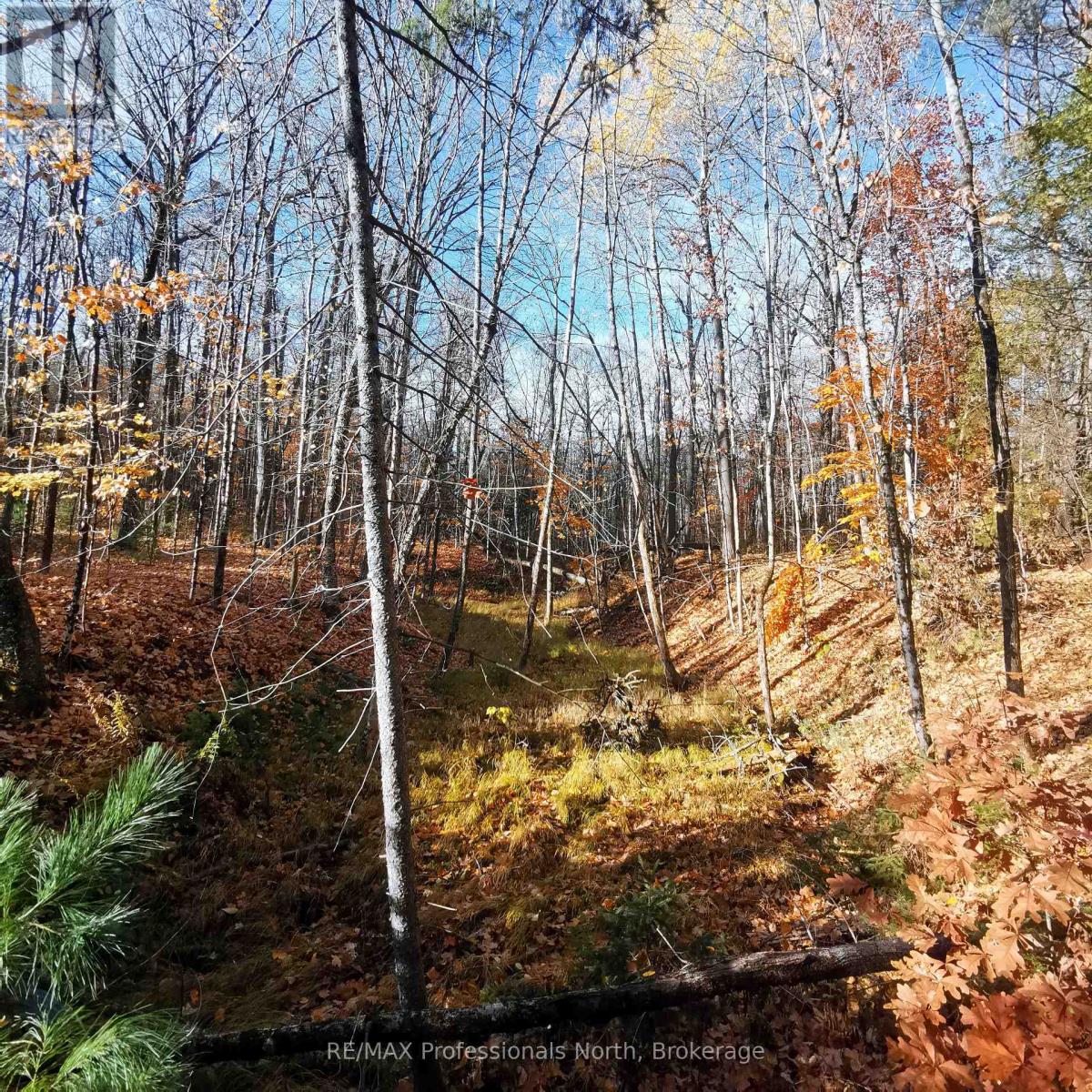 416 Swallowdale Road, Huntsville, Ontario  P1H 0A5 - Photo 8 - X12093325