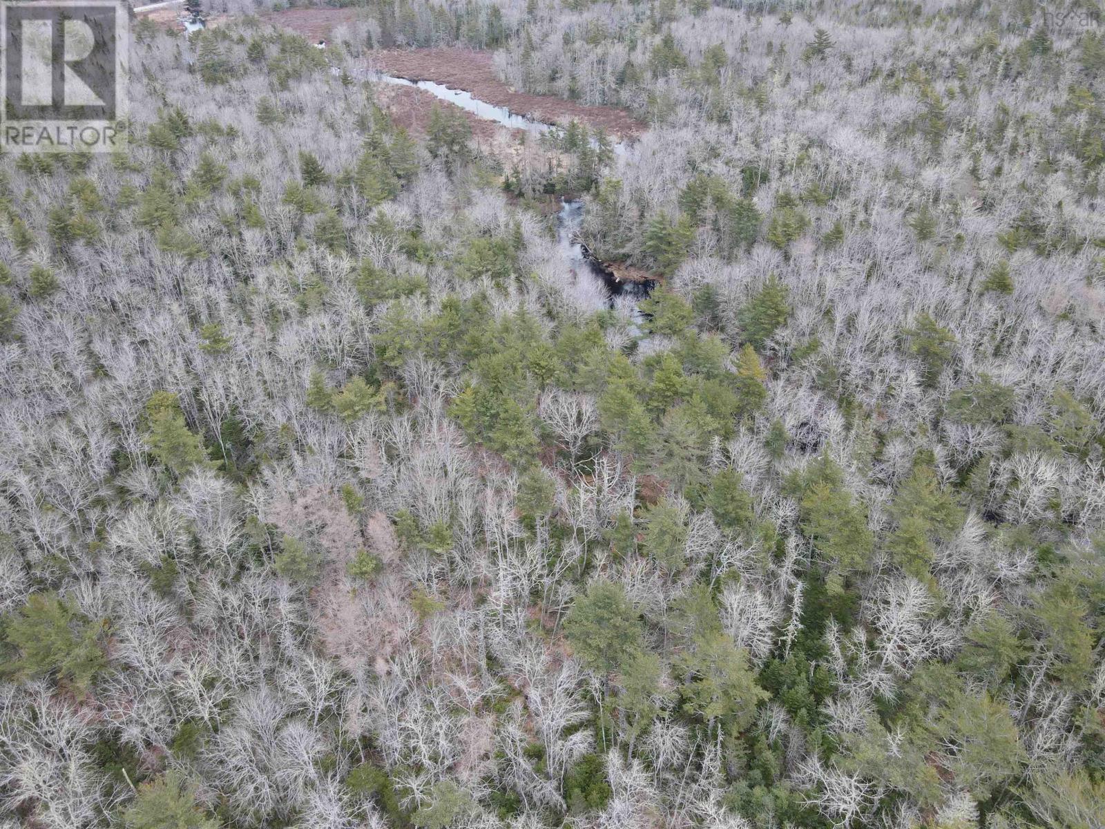 Lot 100 Wrights Road, Shelburne, Nova Scotia  B0T 1W0 - Photo 12 - 202512420