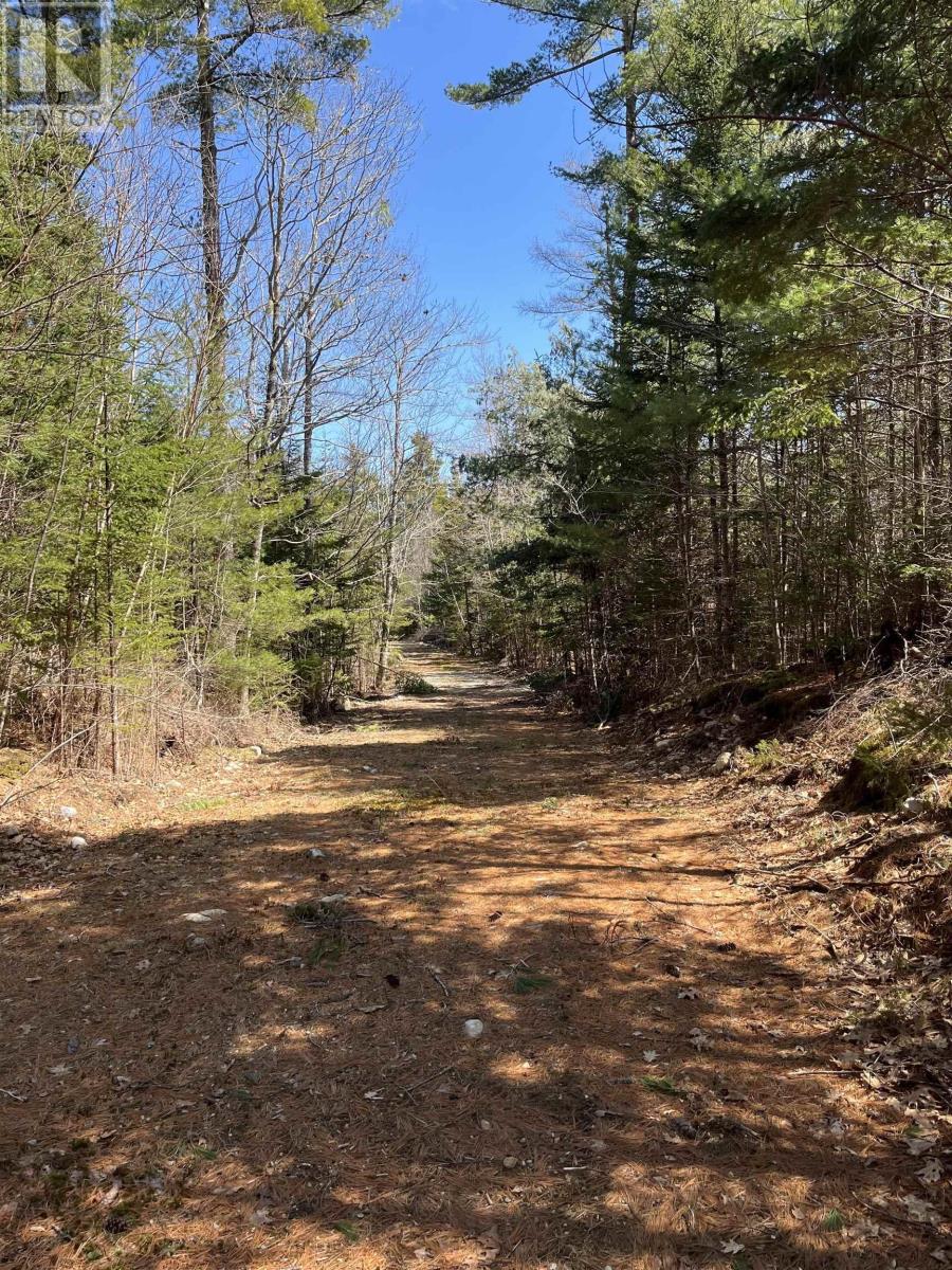 Lot 100 Wrights Road, Shelburne, Nova Scotia  B0T 1W0 - Photo 8 - 202512420