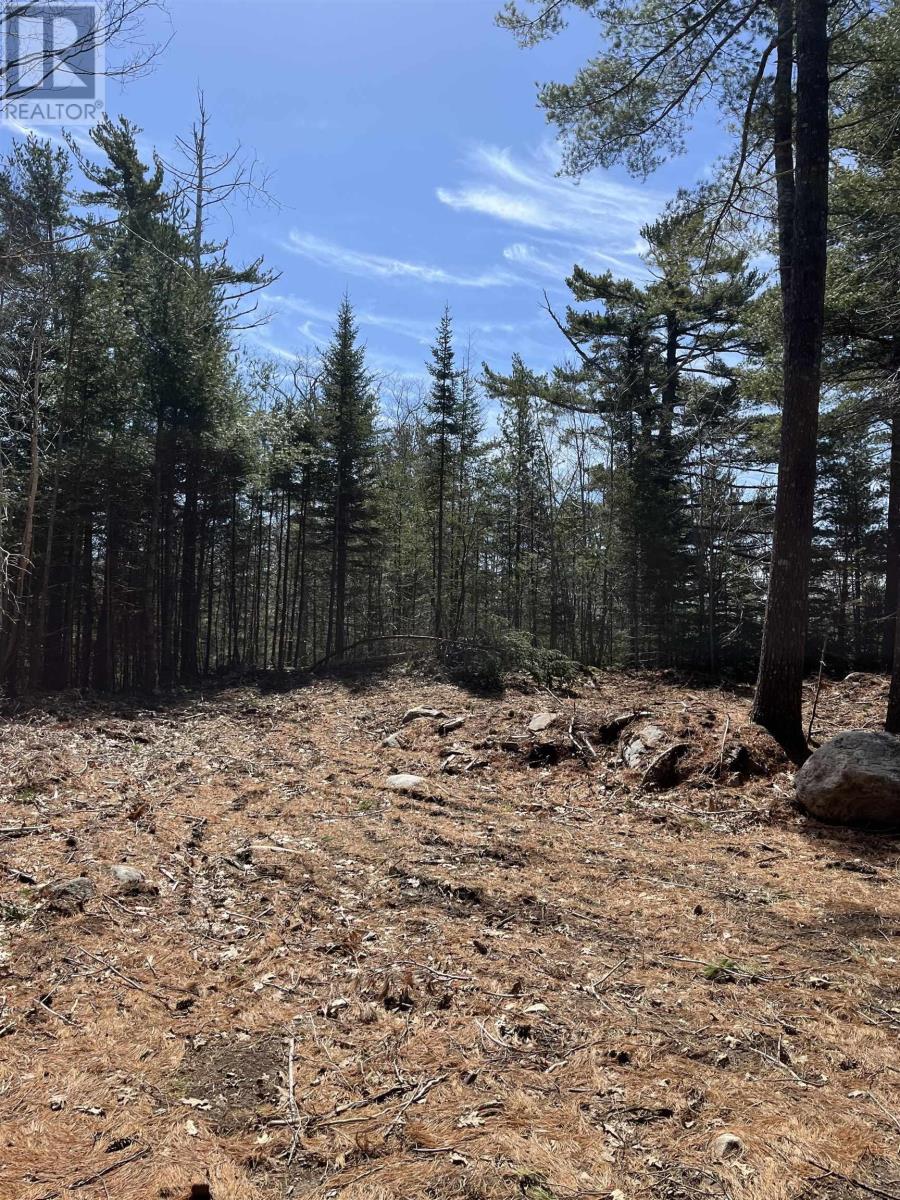 Lot 100 Wrights Road, Shelburne, Nova Scotia  B0T 1W0 - Photo 9 - 202512420