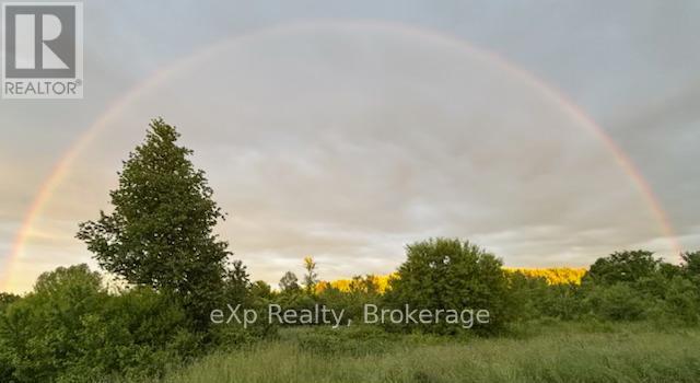 58111 12th Line, Meaford, Ontario  N4L 1W5 - Photo 48 - X12175498