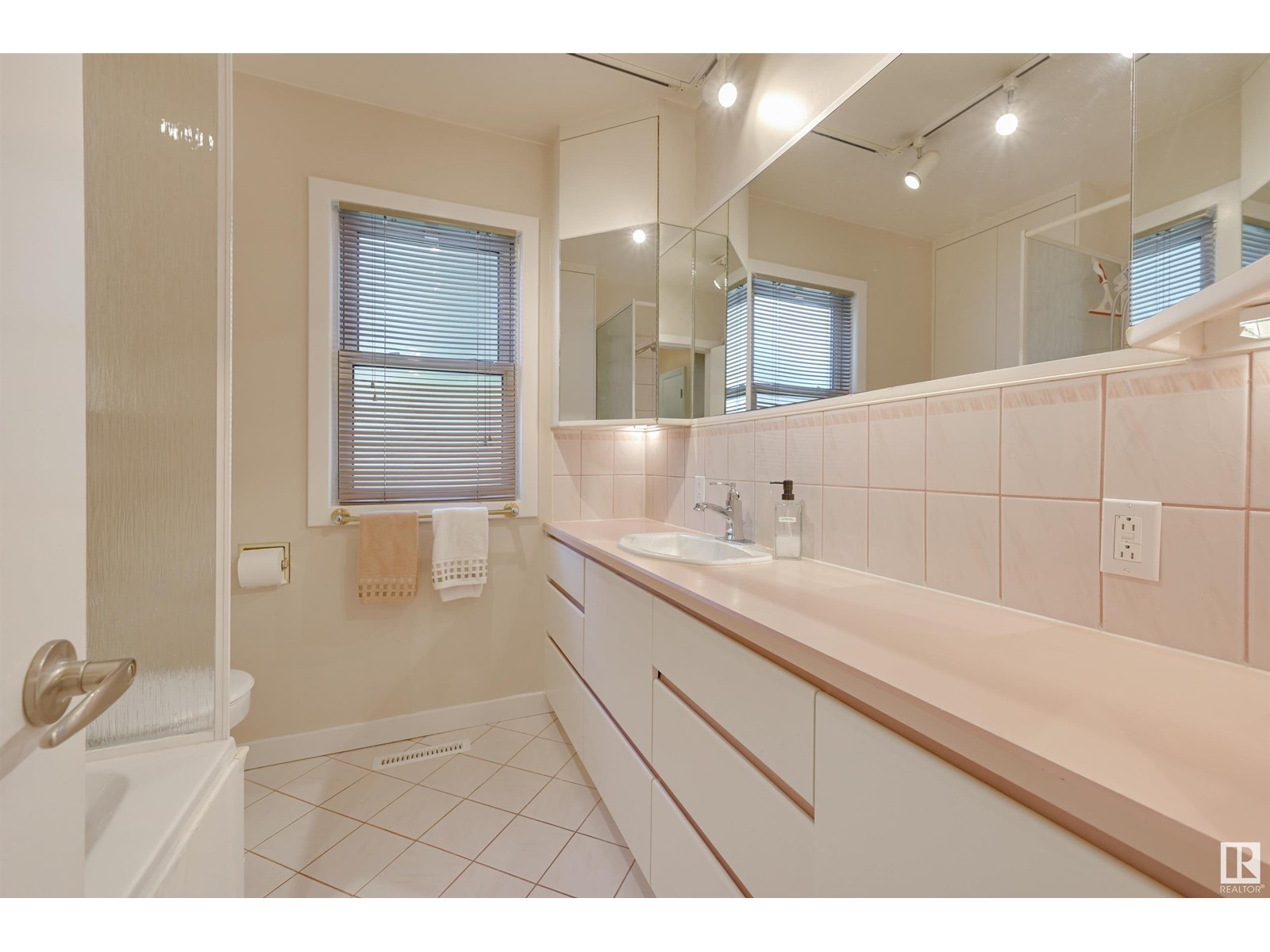 14415 96 Av Nw, Edmonton, Alberta  T5N 0C6 - Photo 32 - E4438681