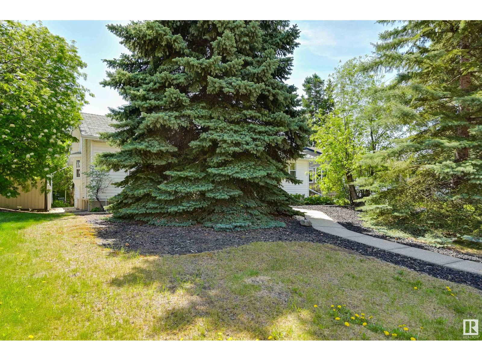 Property at 14415 96 AV NW image 2