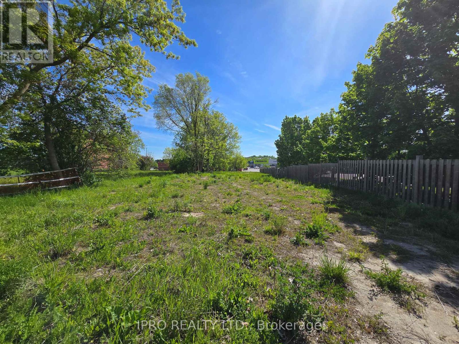 455 The Queensway S, Georgina, Ontario  L4P 2C9 - Photo 4 - N12158400