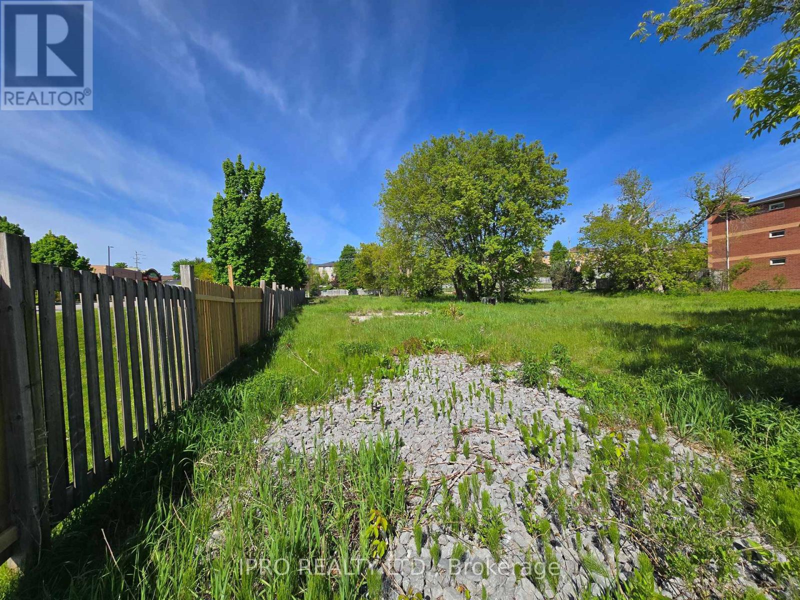 455 The Queensway S, Georgina, Ontario  L4P 2C9 - Photo 6 - N12158400