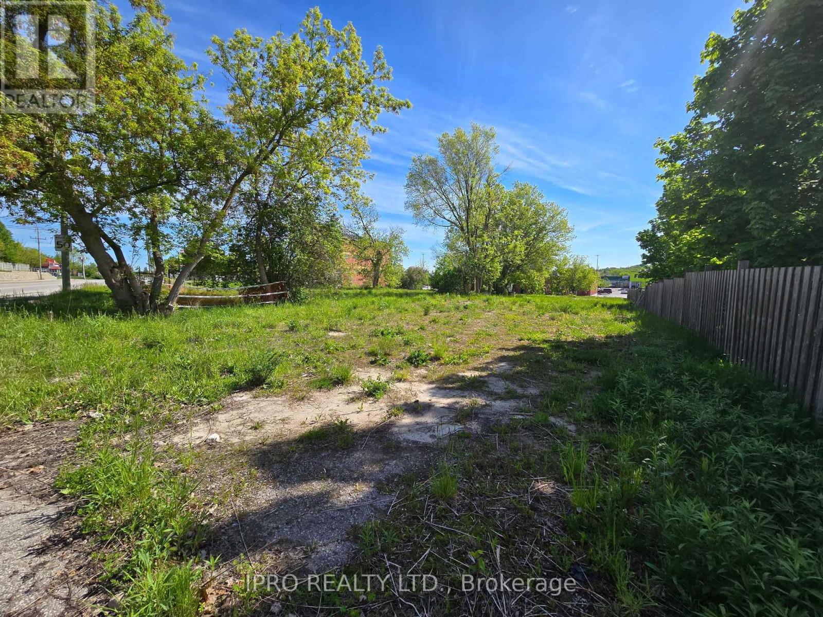 455 The Queensway S, Georgina, Ontario  L4P 2C9 - Photo 3 - N12158400