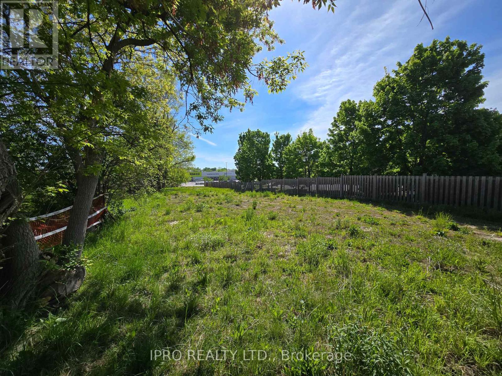 455 The Queensway S, Georgina, Ontario  L4P 2C9 - Photo 5 - N12158400