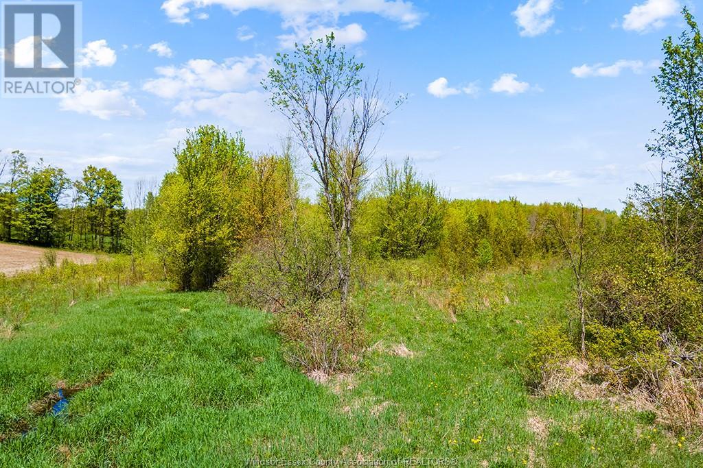 4 Concession  3a Road, Grey County, Ontario  N0H 1G0 - Photo 45 - 25012918