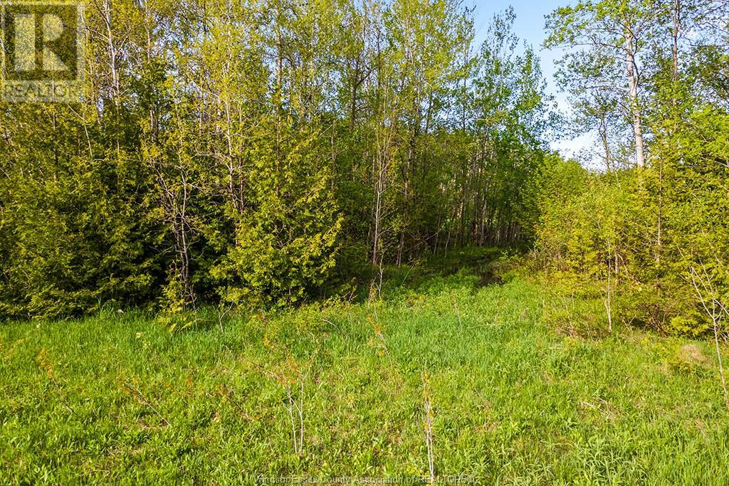 Pl 25 Concession 7 Sullivan, Grey County, Ontario  N0H 1K0 - Photo 30 - 25012925