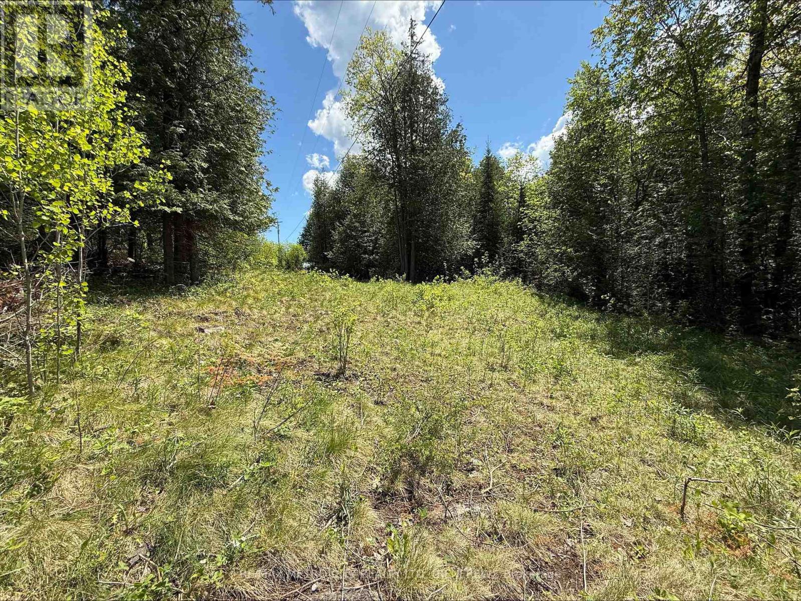 0 Inglis Road, Greater Madawaska, Ontario  K7V 3Z9 - Photo 2 - X12175884
