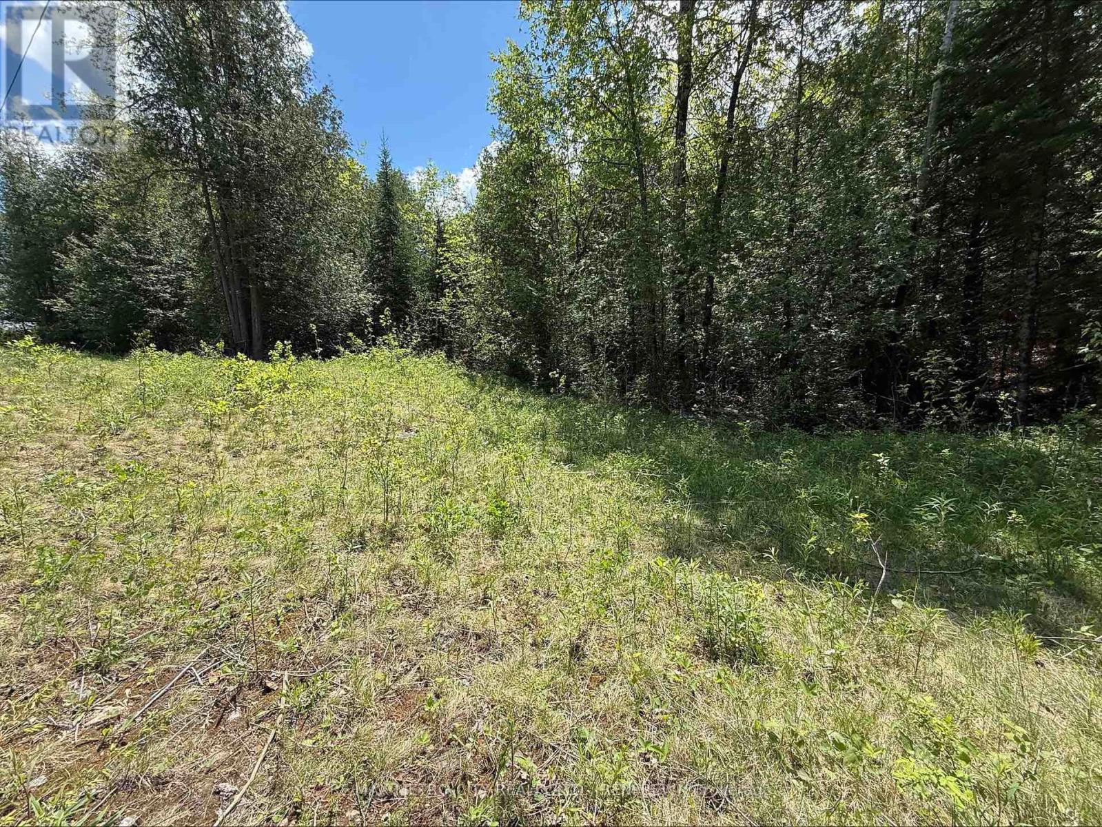 0 Inglis Road, Greater Madawaska, Ontario  K7V 3Z9 - Photo 3 - X12175884