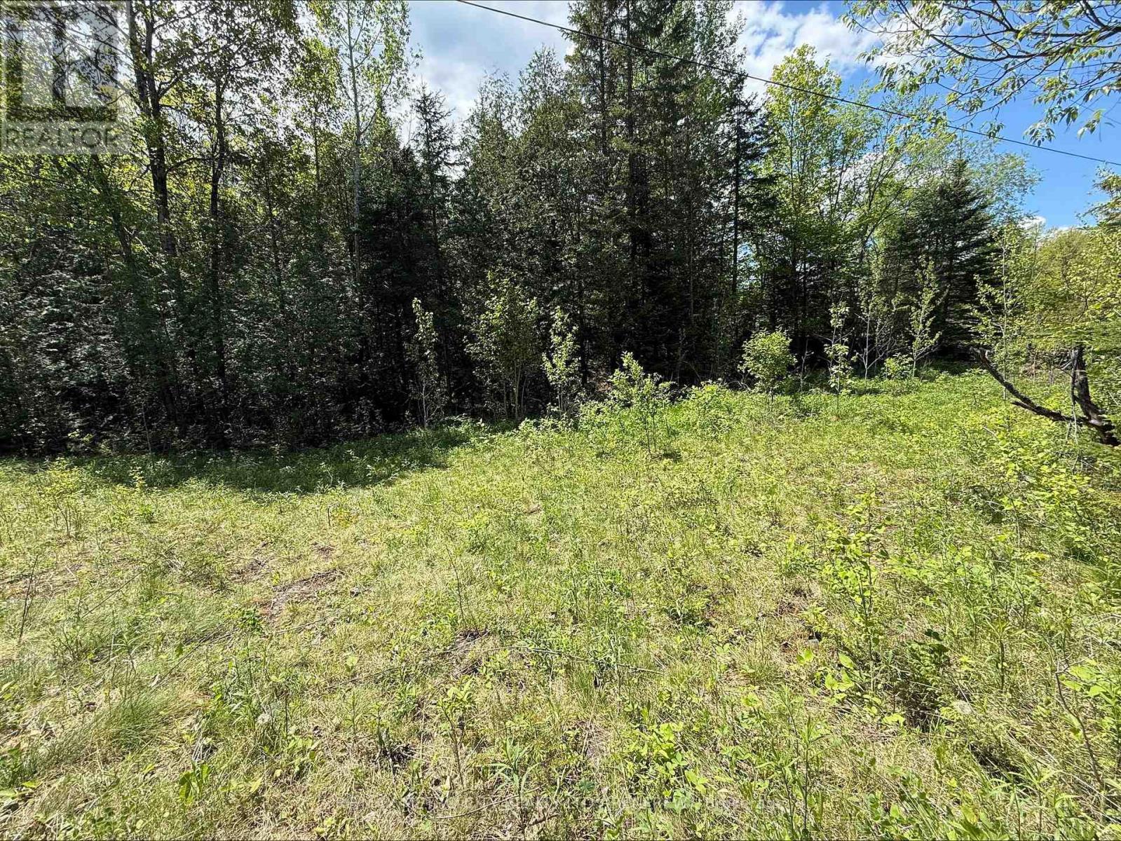 0 Inglis Road, Greater Madawaska, Ontario  K7V 3Z9 - Photo 4 - X12175884