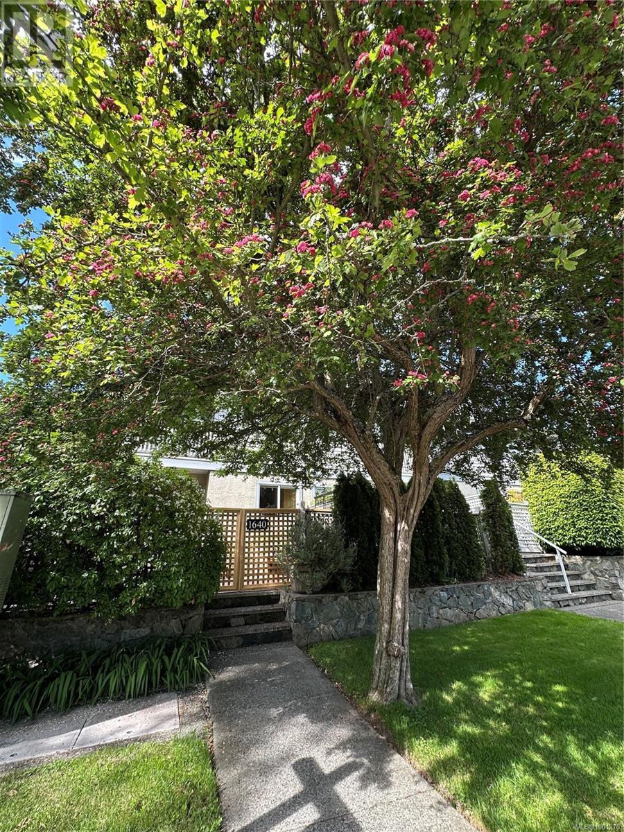 1640 Myrtle Ave, Victoria, British Columbia  V8R 4J8 - Photo 34 - 1001270