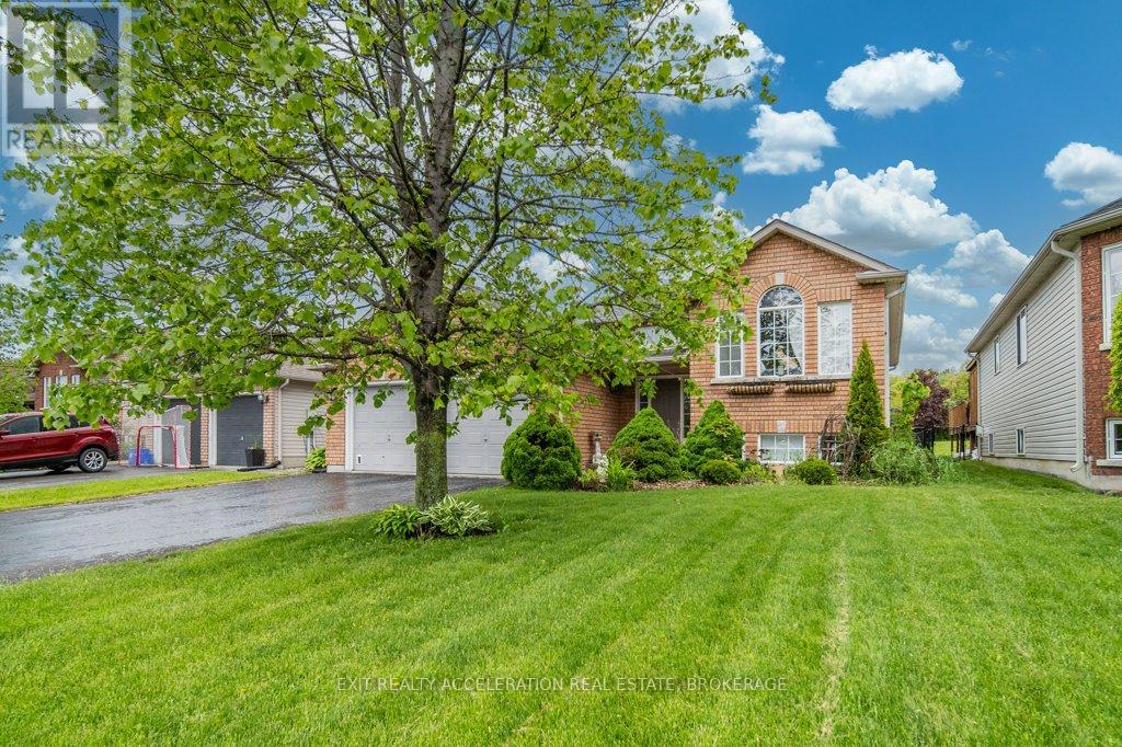 Property at 83 BEVERLY STREET image 3