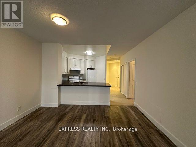 206 - 152 St Patrick Street, Toronto, Ontario  M5T 3J9 - Photo 3 - C12176026