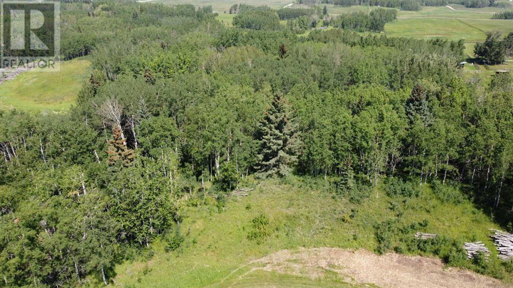 Lot 4 Elkstone Estates, Rural Rocky View County, Alberta  T4C 2Y8 - Photo 6 - A2189188
