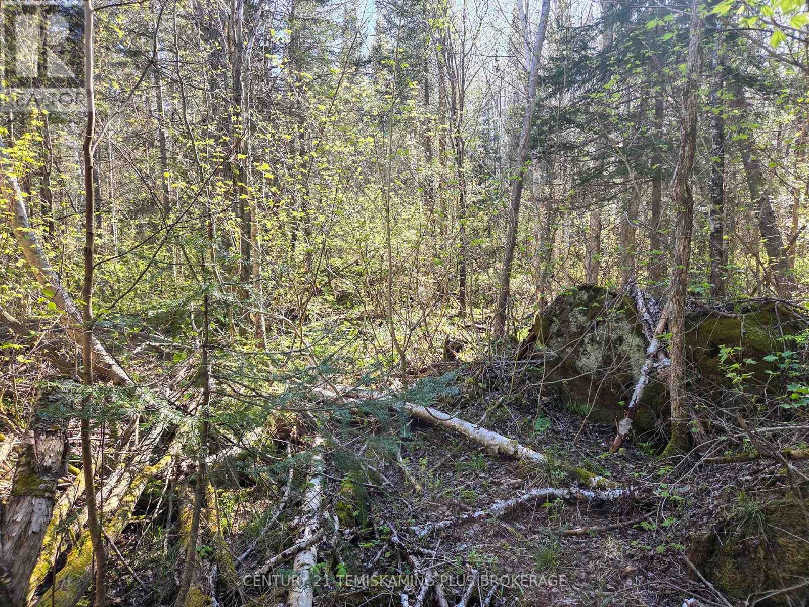 Pc13528 624 Highway, Larder Lake, Ontario  P0K 1L0 - Photo 31 - T12176214