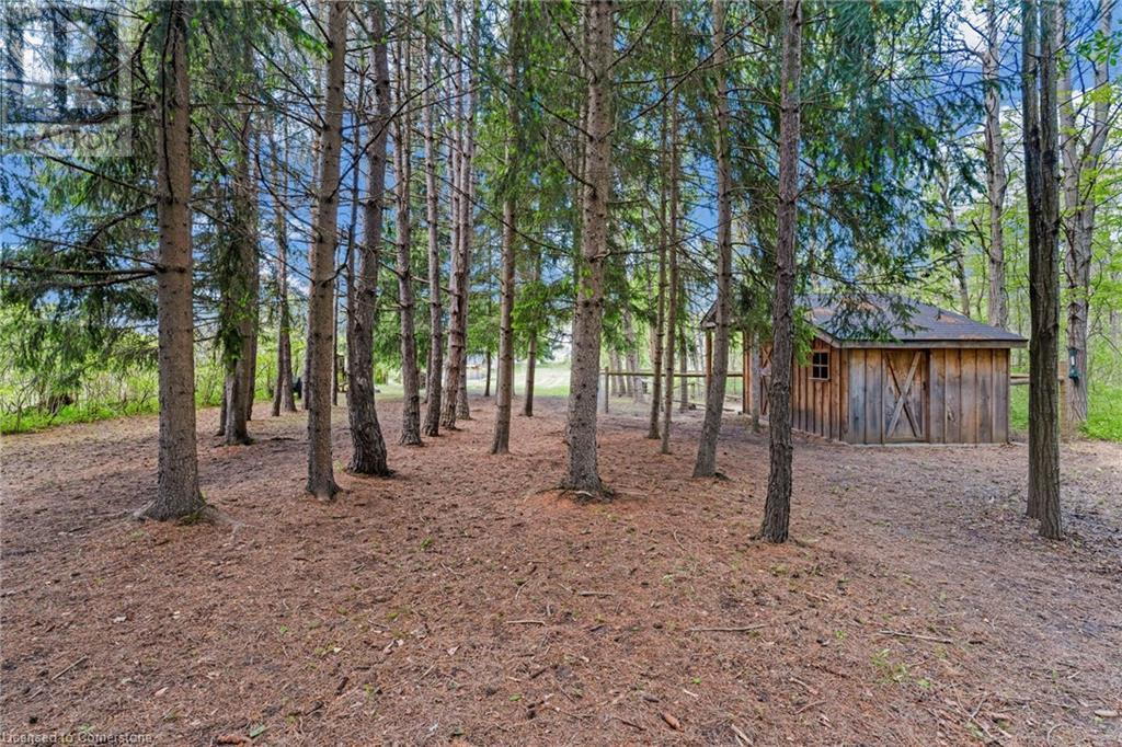 764 Regional 20 Road, Pelham, Ontario  L0S 1C0 - Photo 8 - 40733512