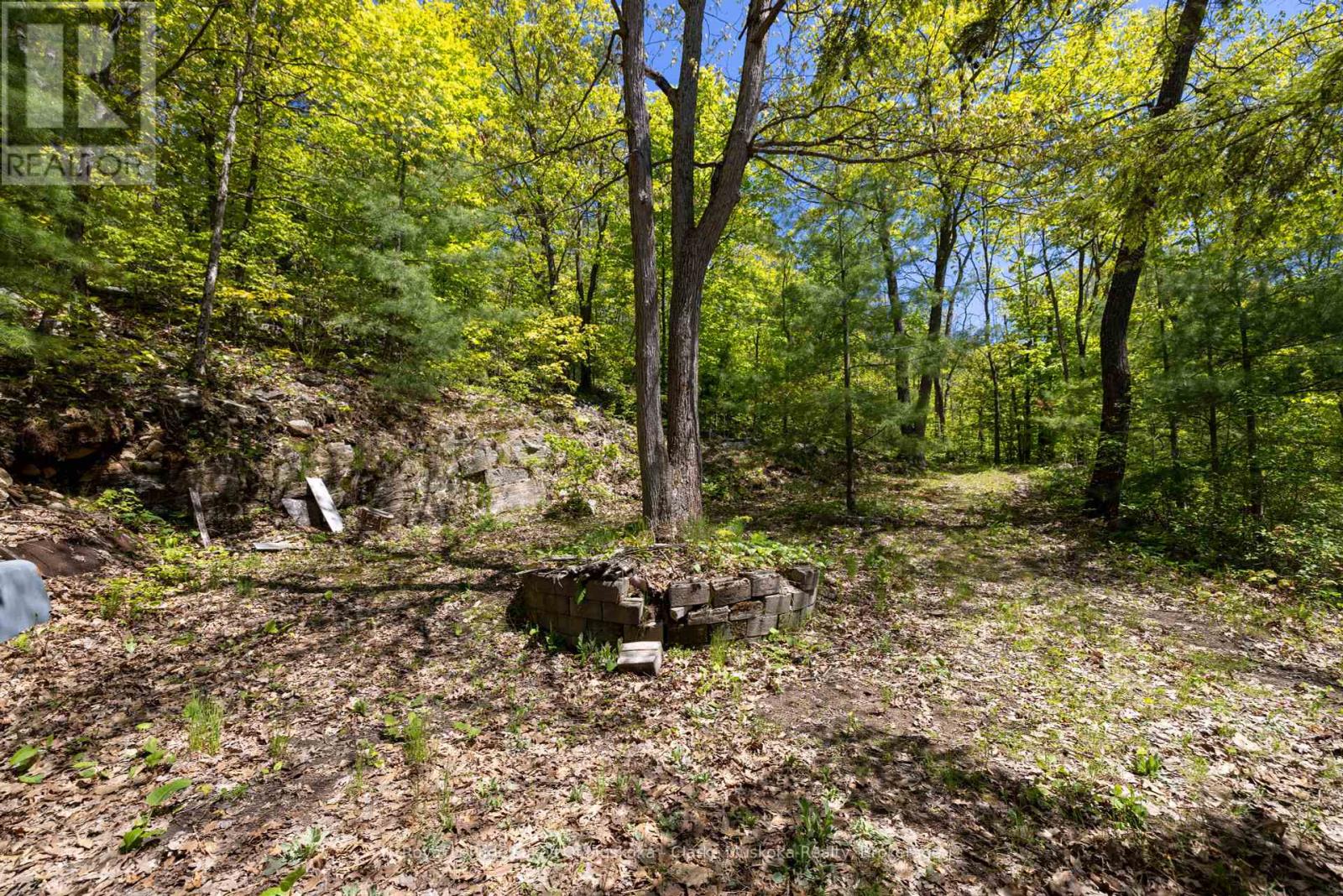 1083 Harrison Trail, Georgian Bay, Ontario  P0C 1H0 - Photo 12 - X12158460