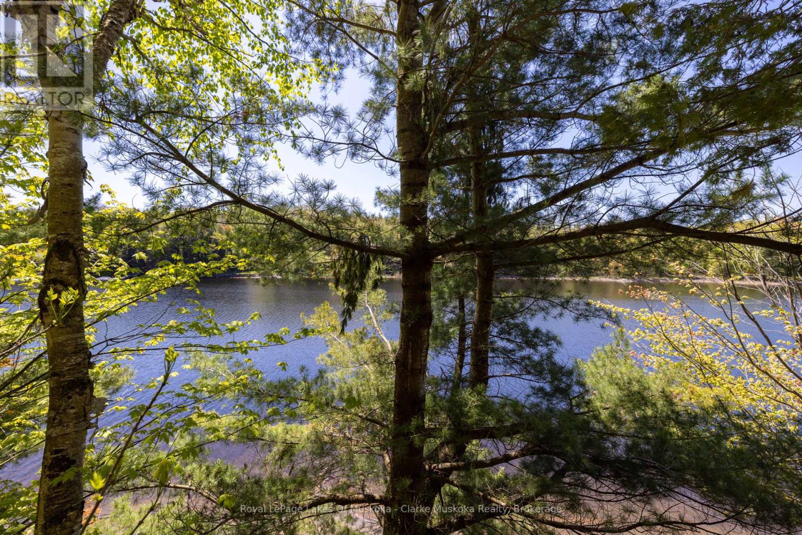 1083 Harrison Trail, Georgian Bay, Ontario  P0C 1H0 - Photo 14 - X12158460