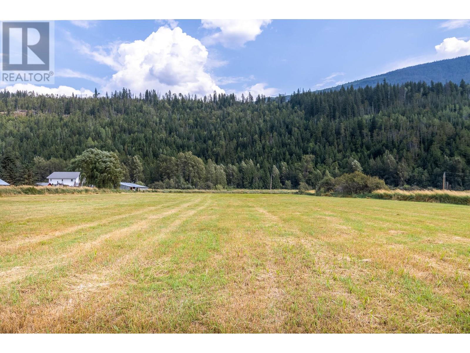 3695 Malakwa Loop Road, Malakwa, British Columbia  V0E 2J0 - Photo 34 - 10349390