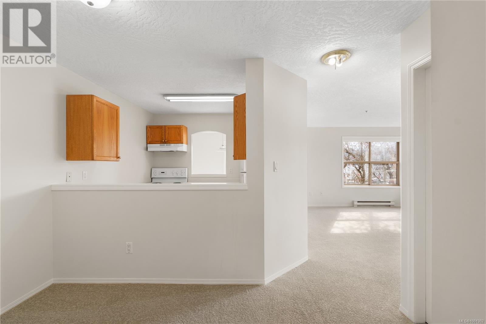 202 330 Brae Rd, Duncan, British Columbia  V9L 3T8 - Photo 8 - 1001302
