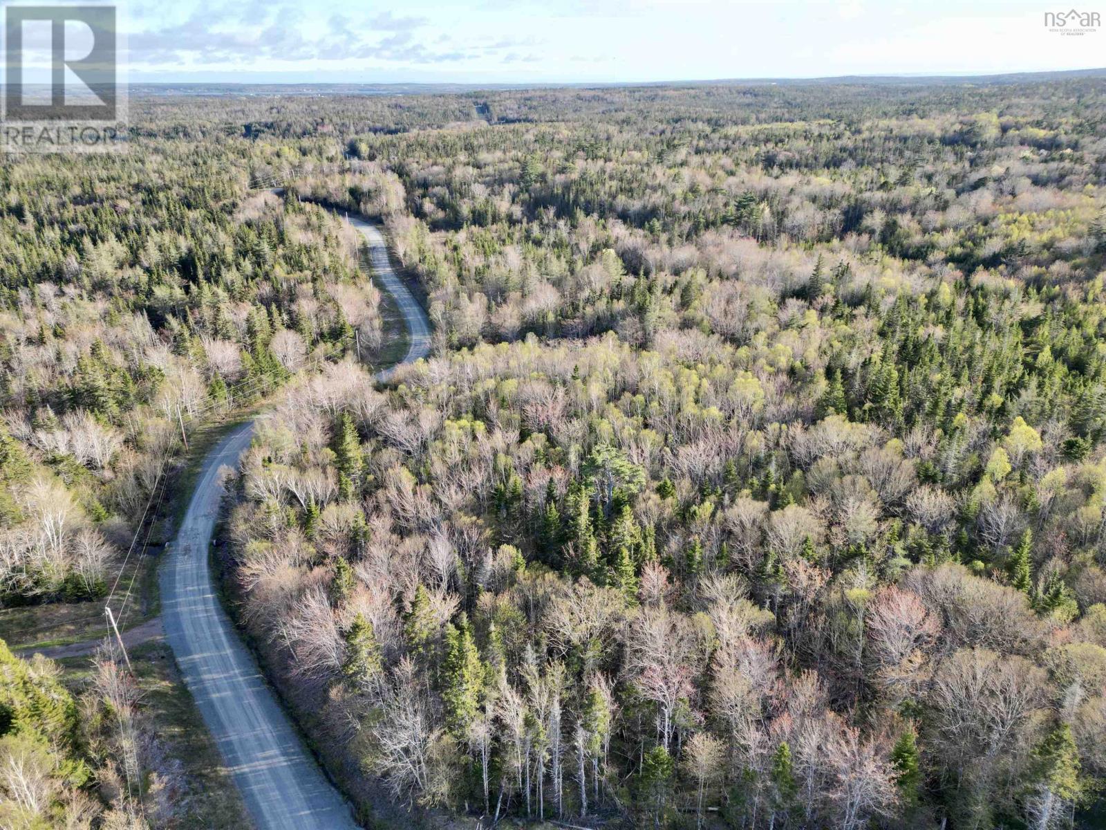 Acreage No. 4 Highway, Grande Anse, Nova Scotia  B0E 1V0 - Photo 6 - 202512459