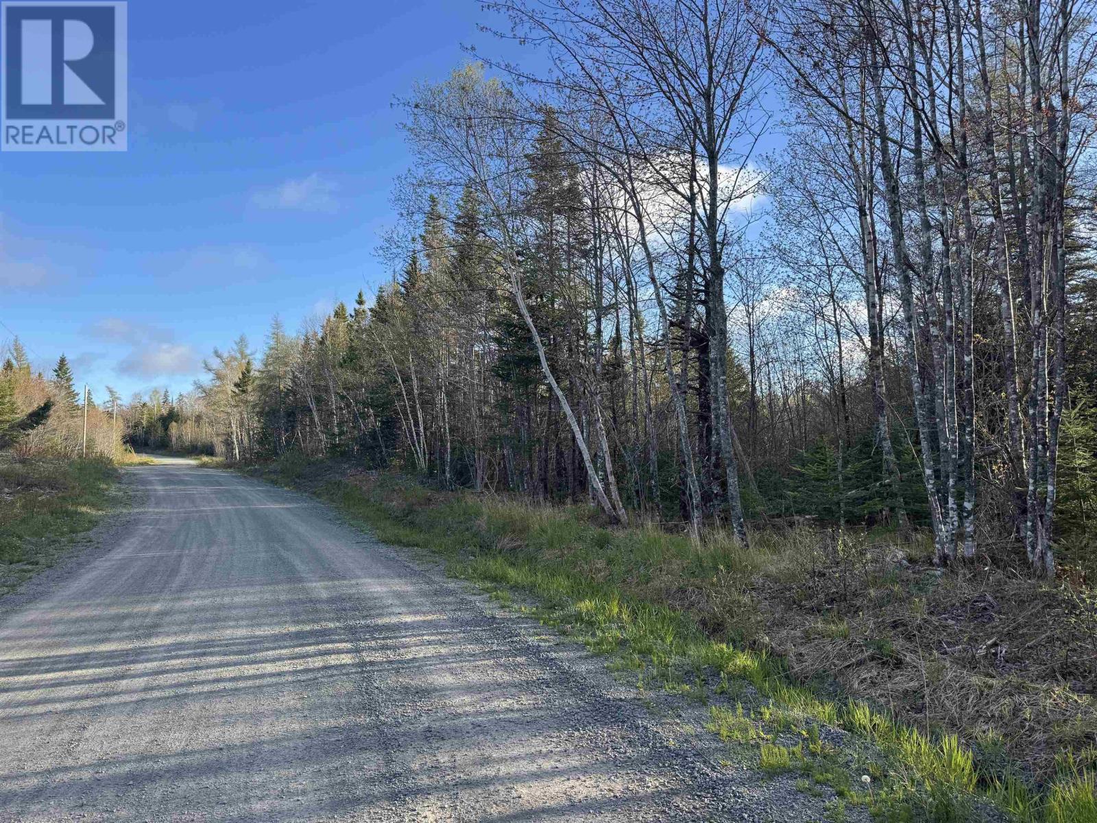 Acreage No. 4 Highway, Grande Anse, Nova Scotia  B0E 1V0 - Photo 9 - 202512459