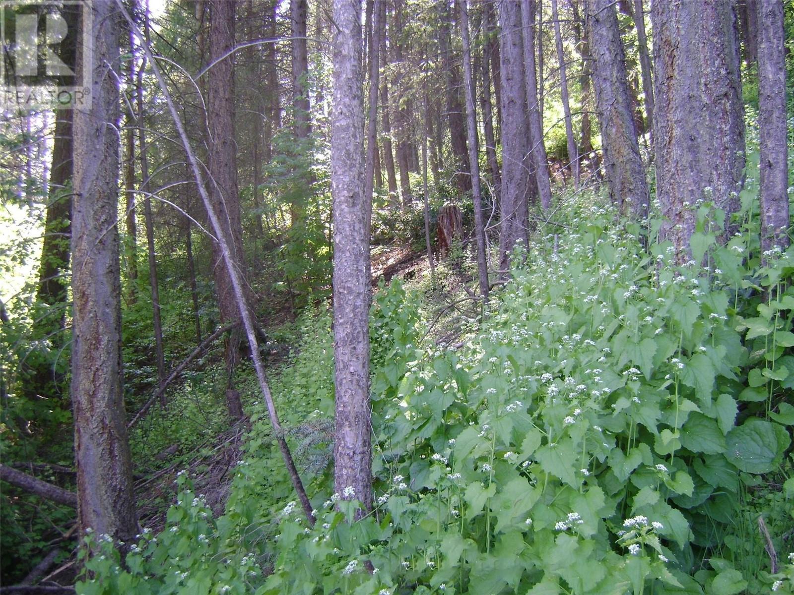 9475 Kilkenny Place Lot# 180, Vernon, British Columbia  V1H 2C4 - Photo 15 - 10349425