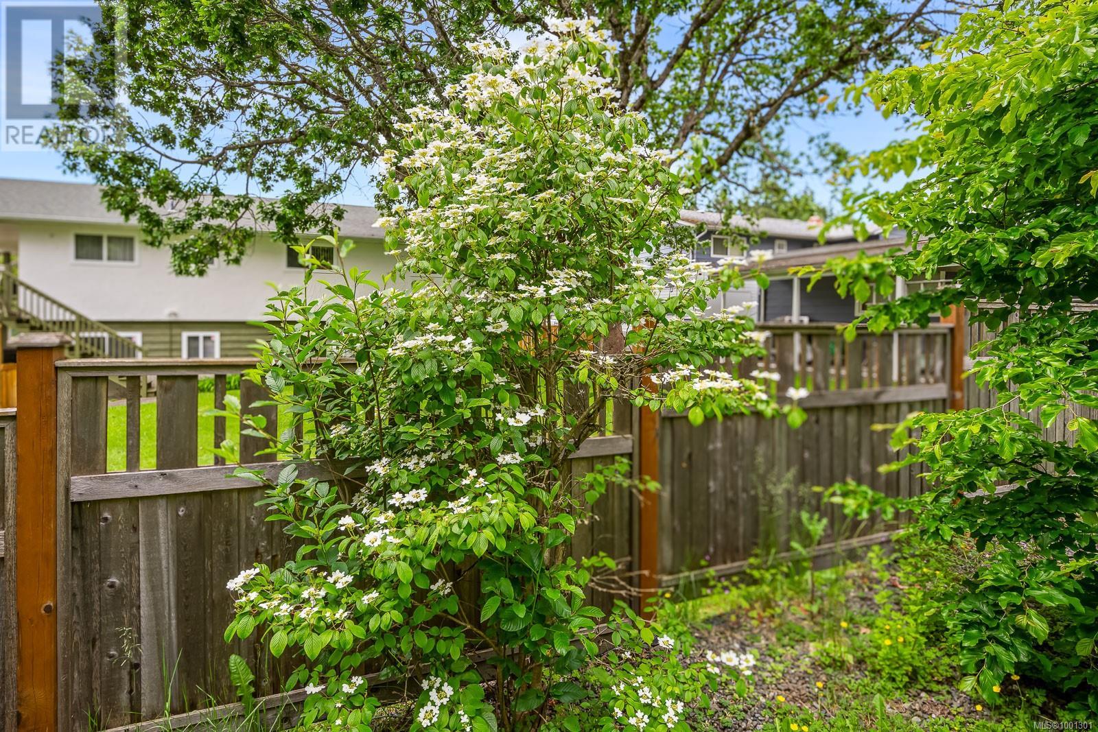 1608 Mclauchlin Ave, Courtenay, British Columbia  B9N 3V8 - Photo 33 - 1001301