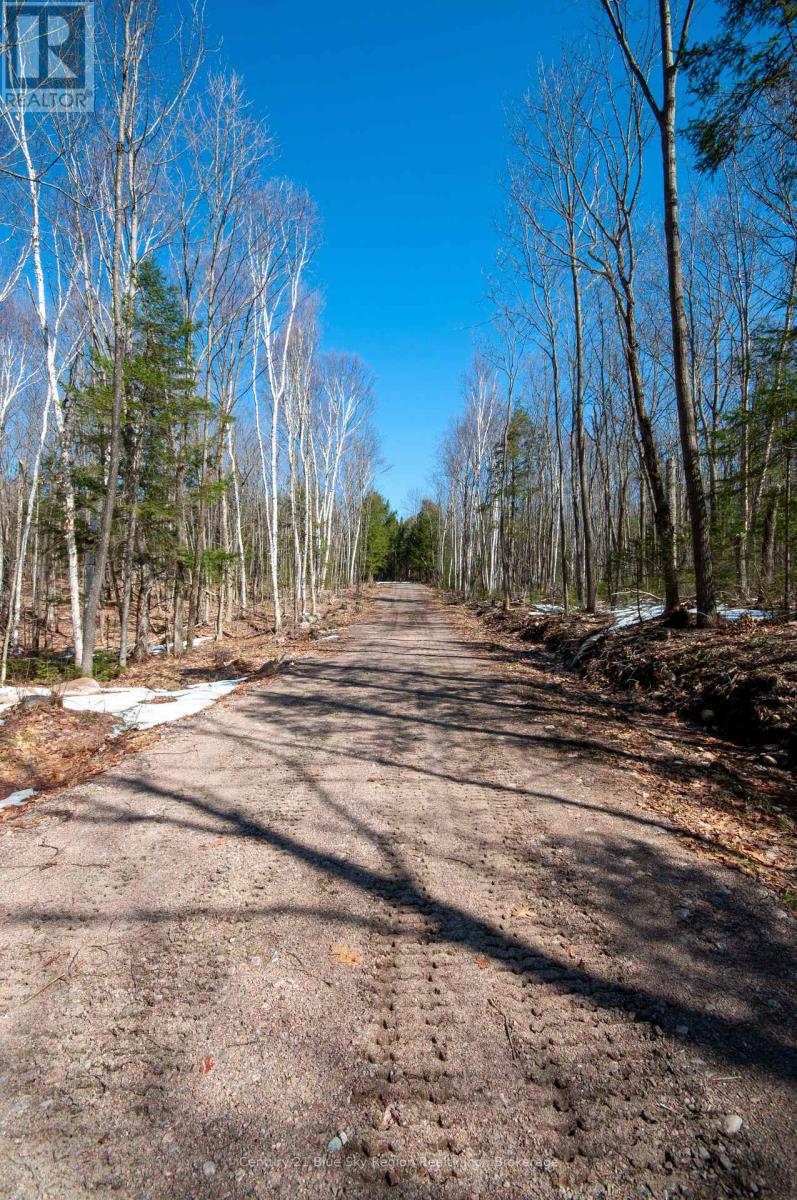 Lot 16 Grand Desert Road, Bonfield, Ontario  P0H 1E0 - Photo 7 - X12083714