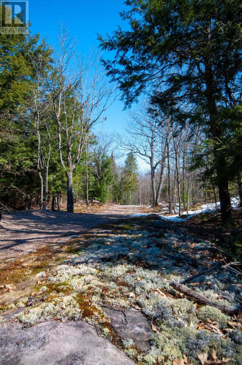 Lot 16 Grand Desert Road, Bonfield, Ontario  P0H 1E0 - Photo 16 - X12083714