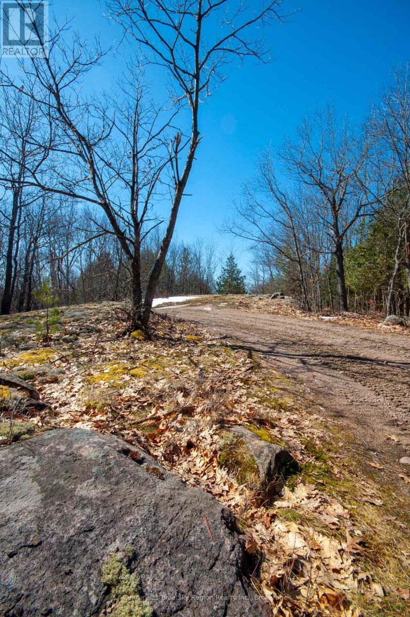 Lot 16 Grand Desert Road, Bonfield, Ontario  P0H 1E0 - Photo 8 - X12083714