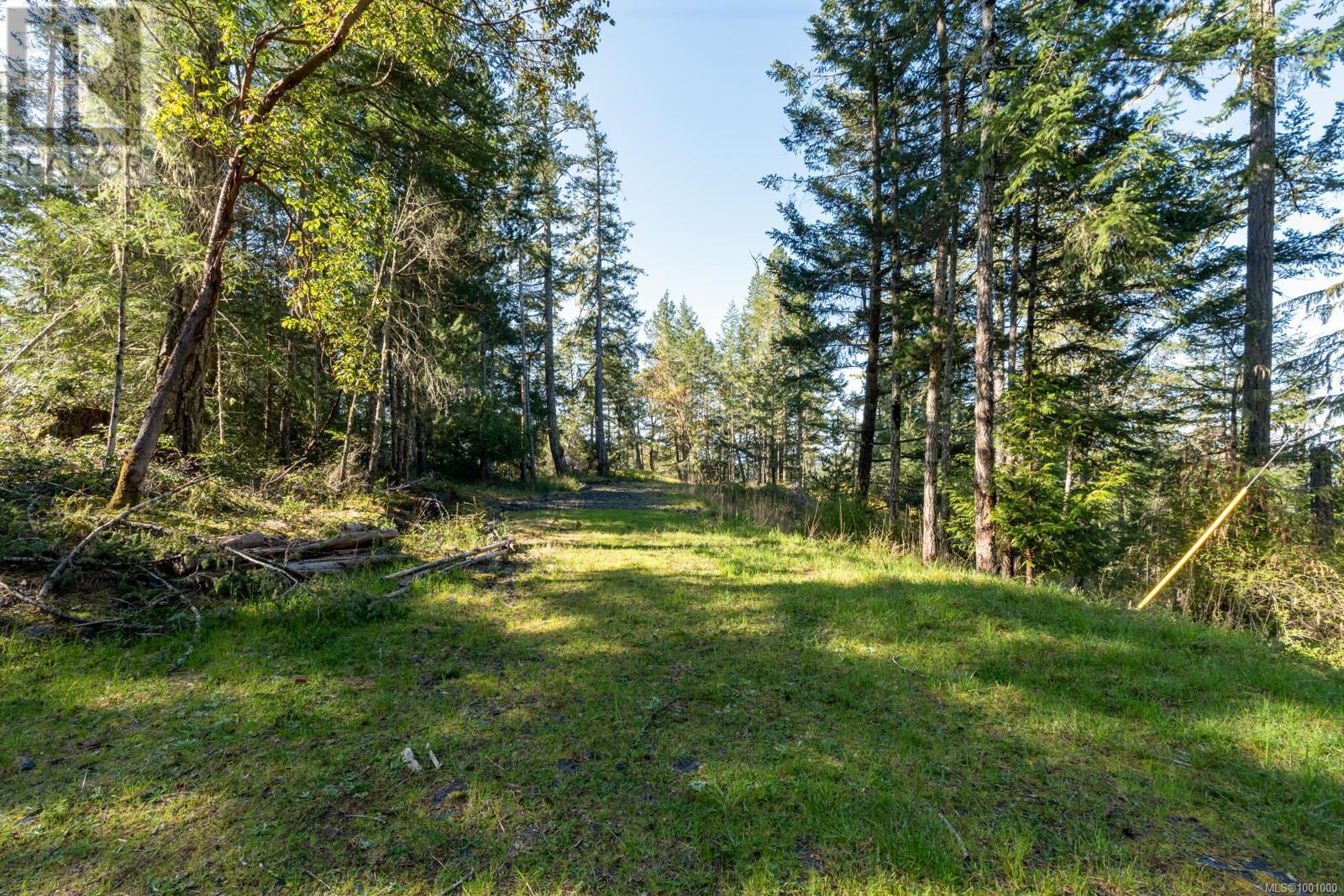 Property at 1520 Nighthawk Lane image 5