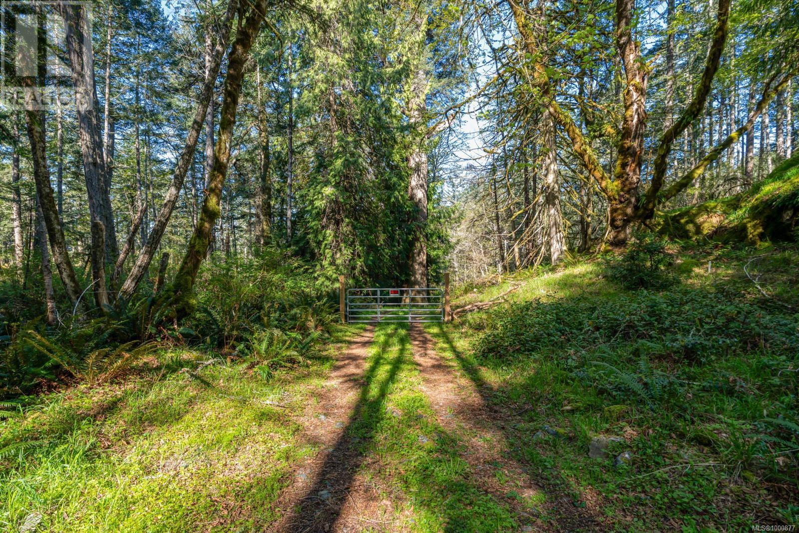 Property at 1530 Nighthawk Lane image 4