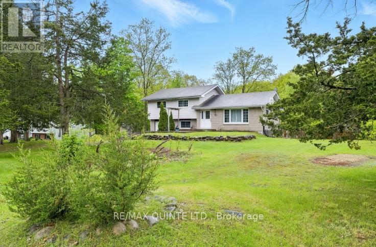 Property at 536 CHRISTIANI ROAD image 1