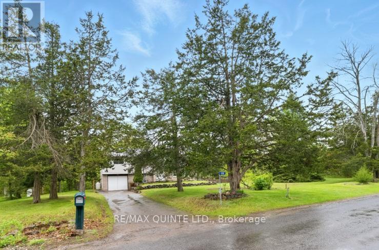 Property at 536 CHRISTIANI ROAD image 5