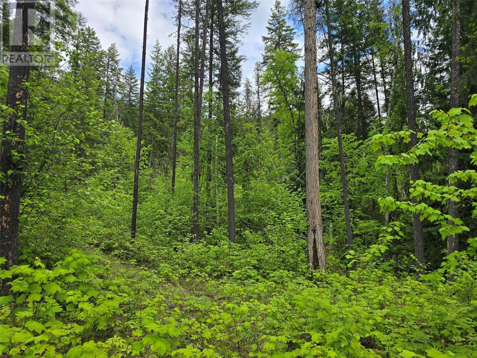 6073 Paradise Valley Road, Winlaw, BC V0G2J0