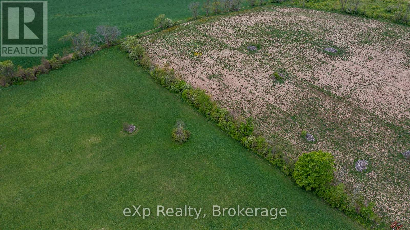 216 Concession 10 E, Arran-Elderslie, Ontario  N0H 2N0 - Photo 8 - X12176388