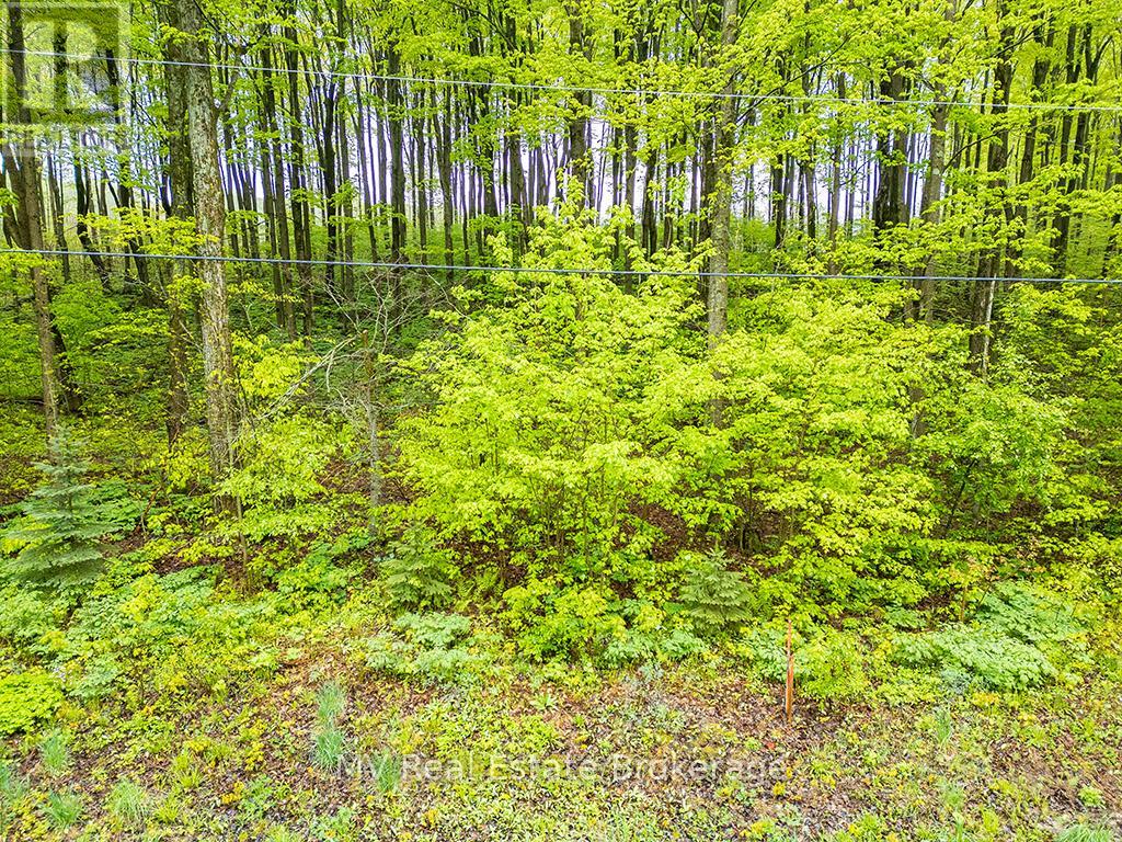 Pt Lt 6 Baseline Road, Grey Highlands, Ontario  N0C 1H0 - Photo 3 - X12176417