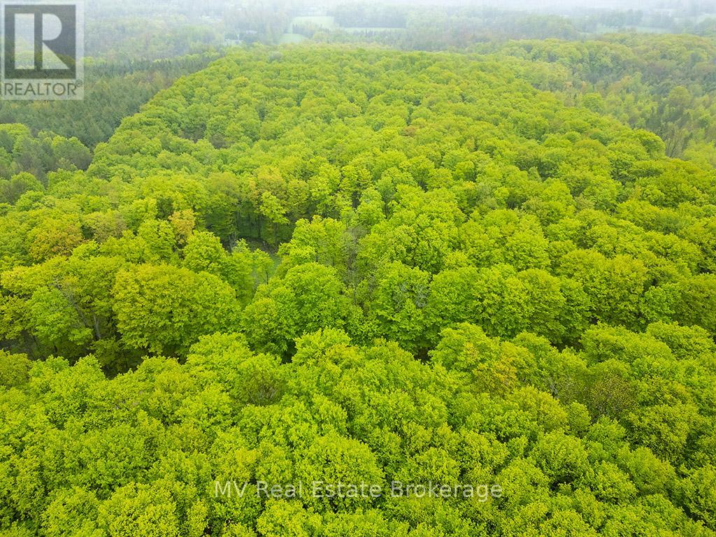 Pt Lt 6 Baseline Road, Grey Highlands, Ontario  N0C 1H0 - Photo 8 - X12176417
