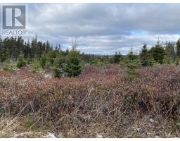 41 Old Cart Road, South River, Newfoundland & Labrador