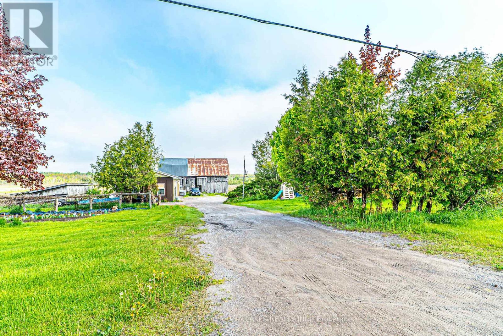 1937 Glenarm Road, Kawartha Lakes, Ontario  K0M 1G0 - Photo 8 - X11991212