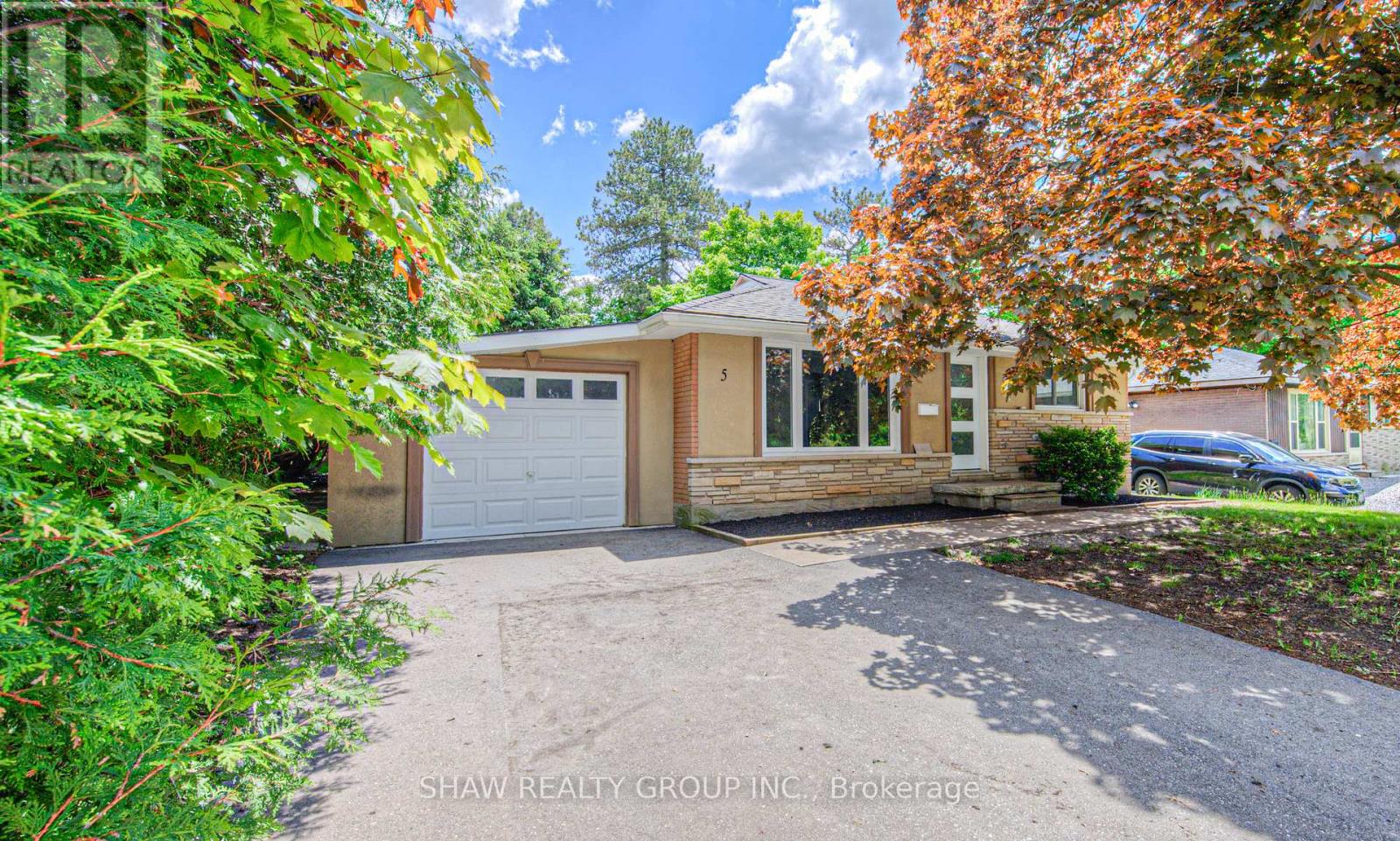 Property at 5 ALISON AVENUE image 4