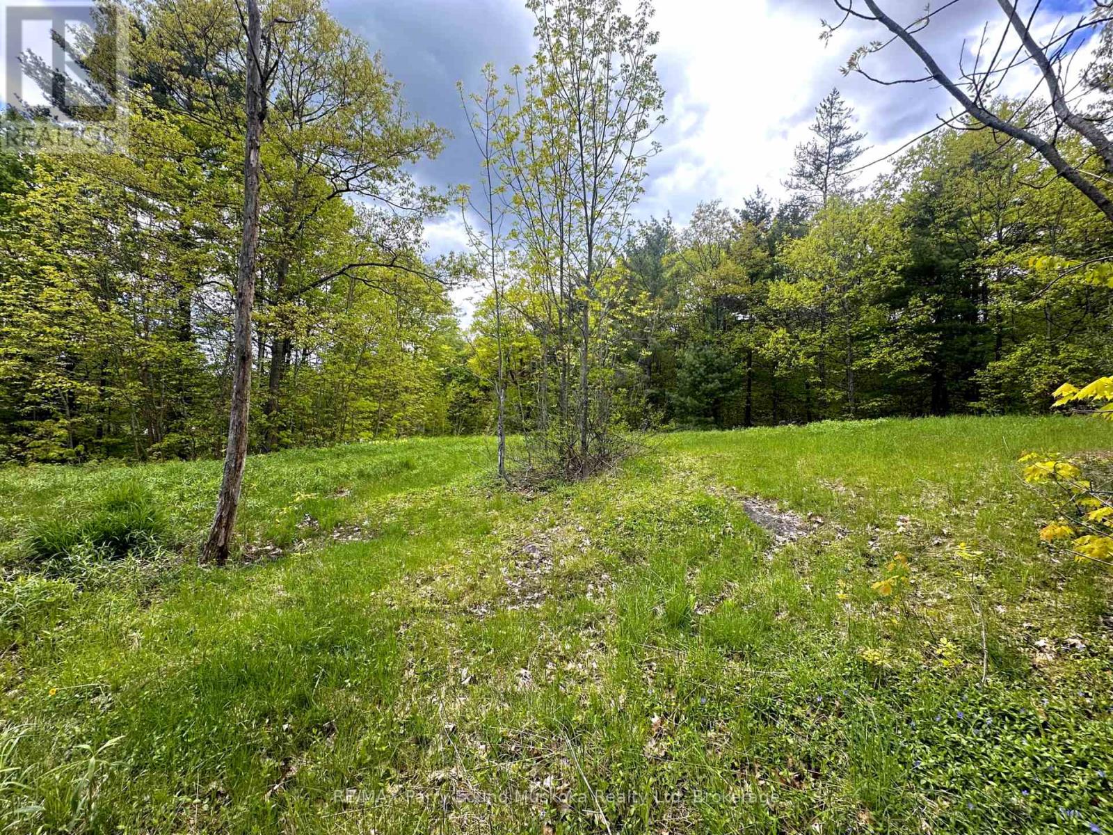 22a Lock Street, Seguin, Ontario  P0C 1J0 - Photo 12 - X12013046
