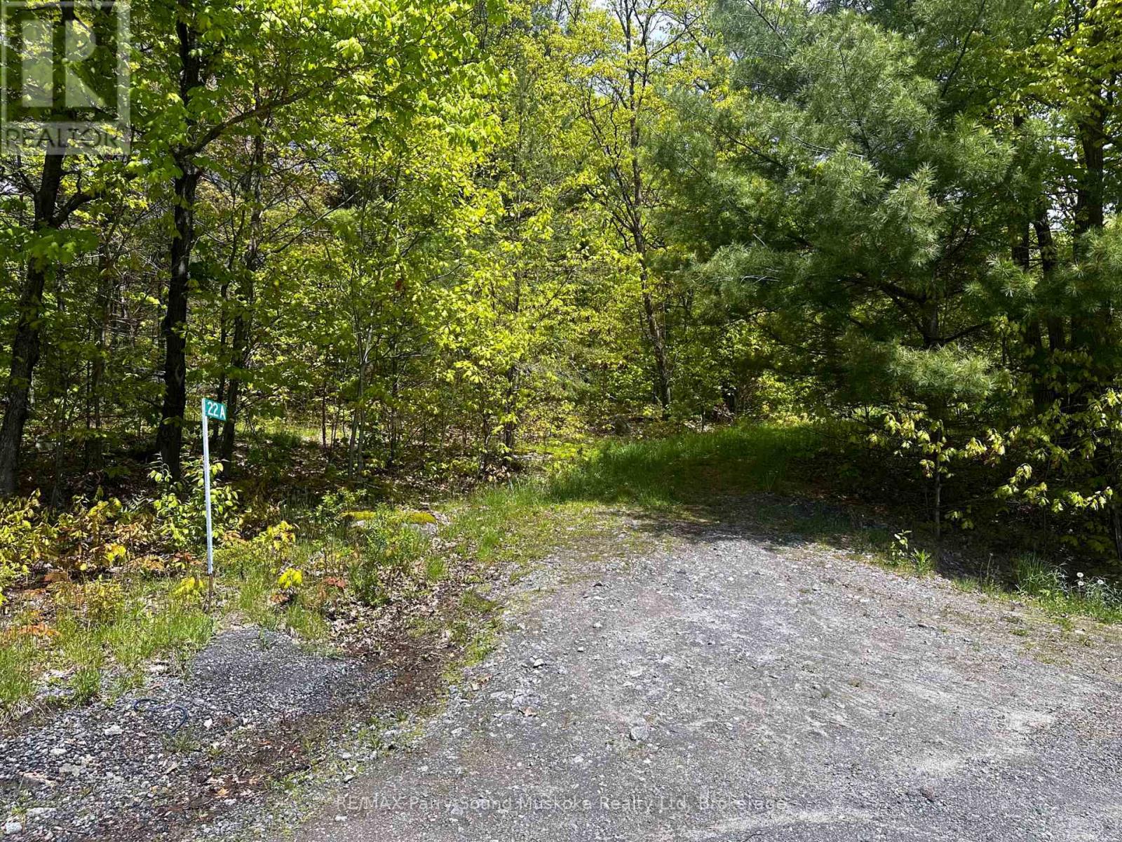 22a Lock Street, Seguin, Ontario  P0C 1J0 - Photo 3 - X12013046