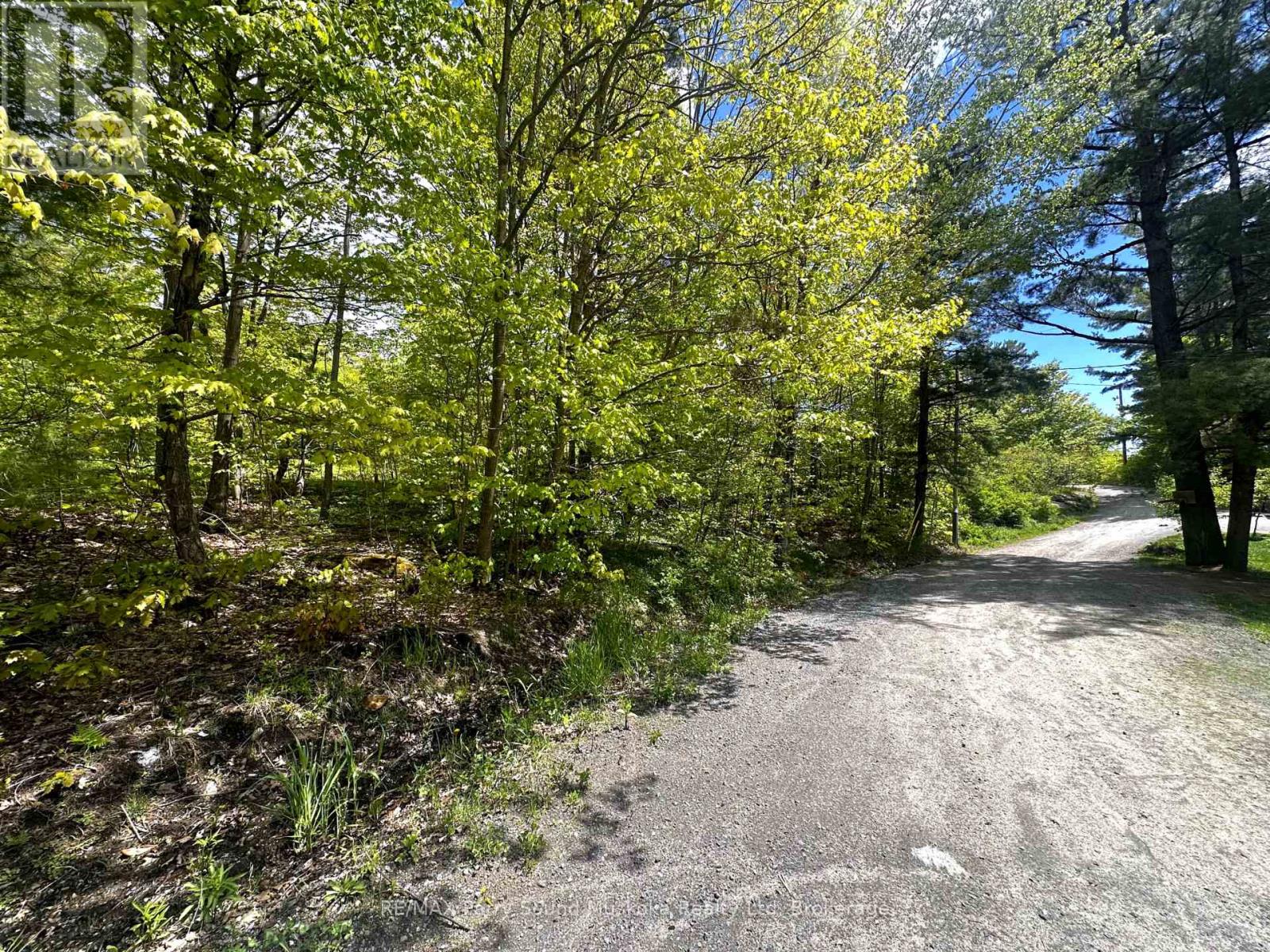 22a Lock Street, Seguin, Ontario  P0C 1J0 - Photo 2 - X12013046