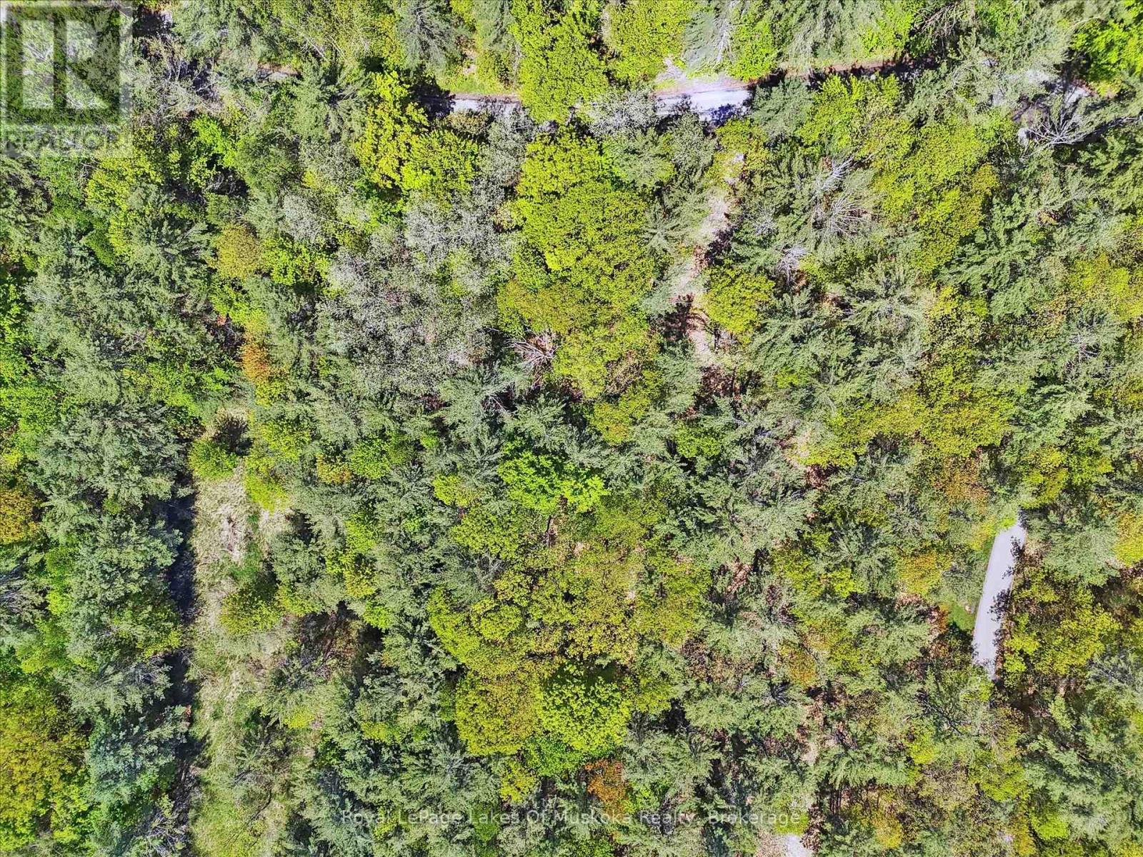 N/a Sunset Bay Road, Gravenhurst, Ontario  P1P 1R2 - Photo 11 - X12169419